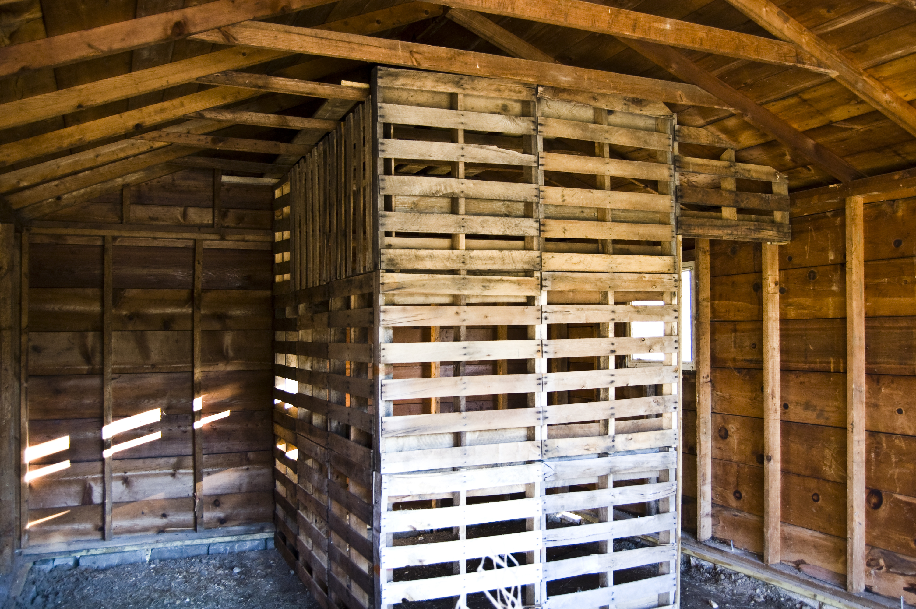 Build a Turkey Coop From Pallets | Material Handling | Premier | Premier