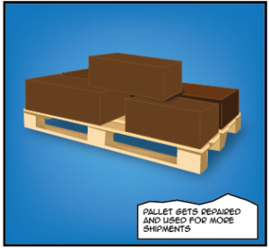 Life Cycle of a Pallet Infographic » PHS Inverter